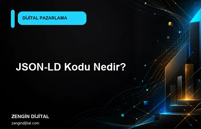 JSON-LD Kodu Nedir? kapak görseli