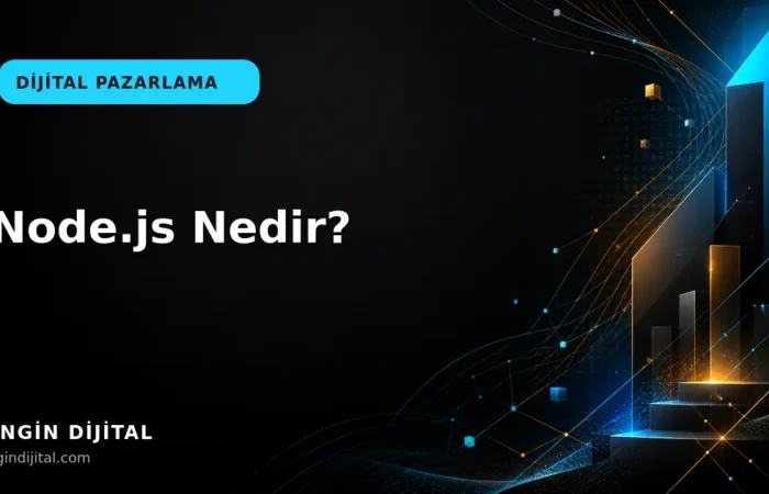 Node.js Nedir? kapak görseli