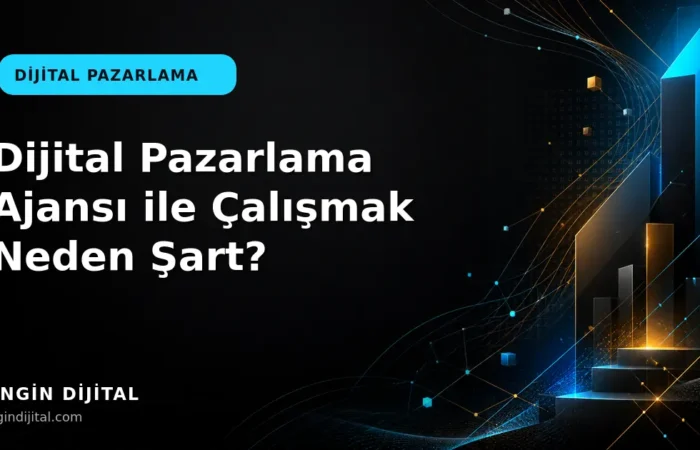 Dijital Pazarlama Ajansı ile Çalışmak Neden Şart? kapak görseli