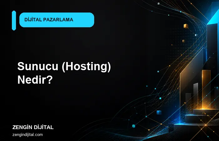 Sunucu (Hosting) Nedir? kapak görseli