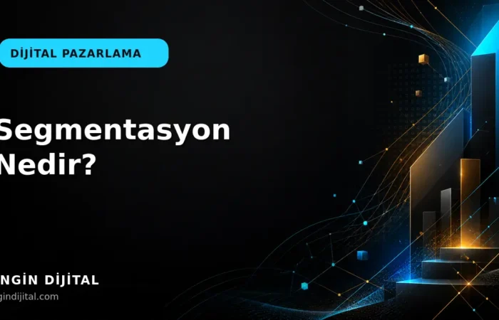 Segmentasyon Nedir? kapak görseli