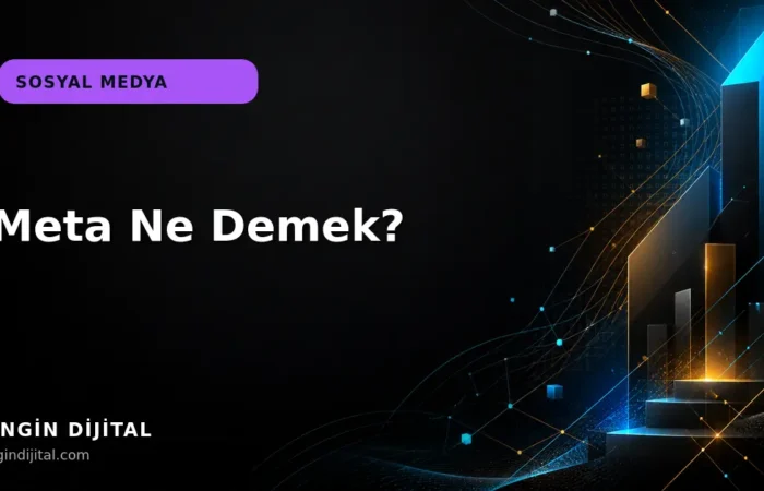 Meta Ne Demek? kapak görseli