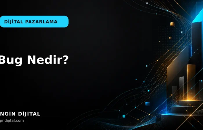 Bug Nedir? kapak görseli
