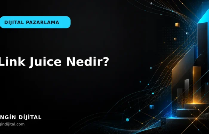 Link Juice Nedir? kapak görseli