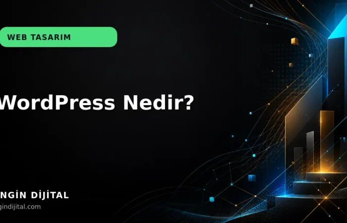 WordPress Nedir? kapak görseli