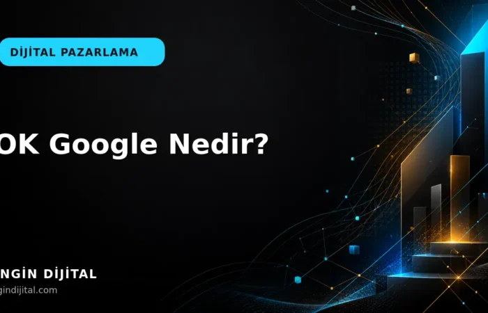 OK Google Nedir? kapak görseli