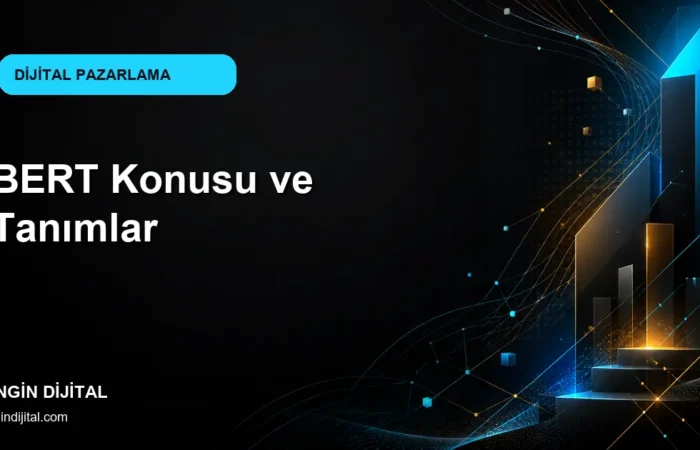 BERT Konusu ve Tanımlar kapak görseli