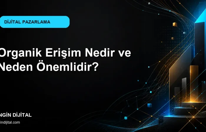 Organik Erişim Nedir ve Neden Önemlidir? kapak görseli