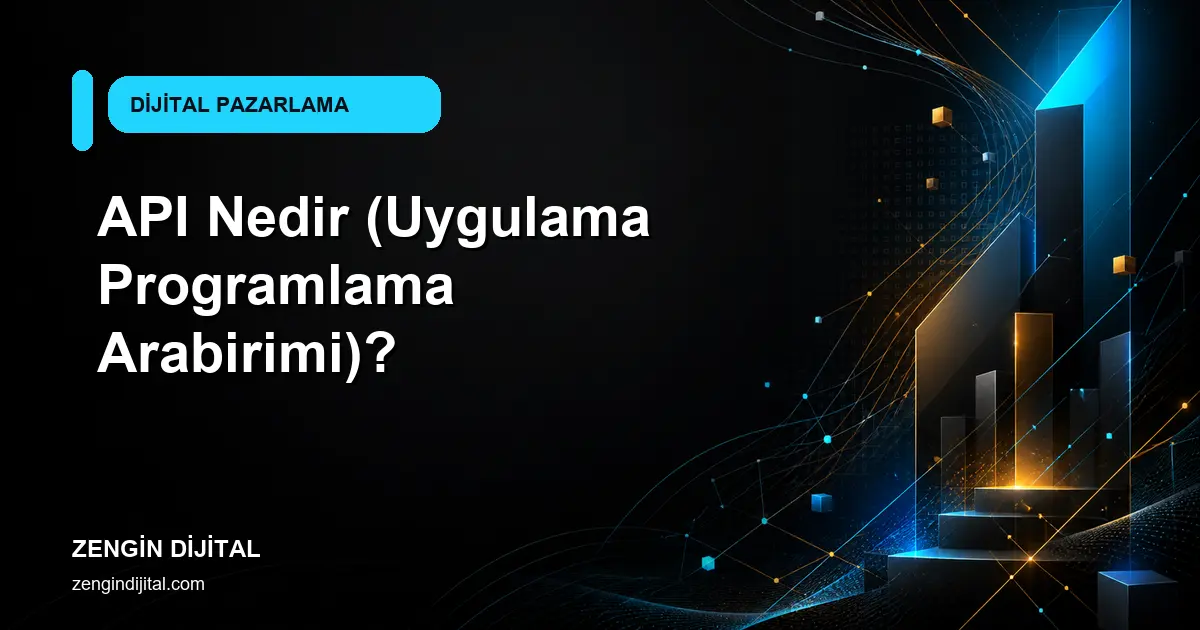 API Nedir (Uygulama Programlama Arabirimi)? kapak görseli