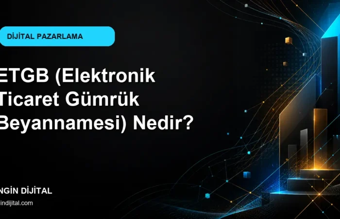ETGB (Elektronik Ticaret Gümrük Beyannamesi) Nedir? kapak görseli