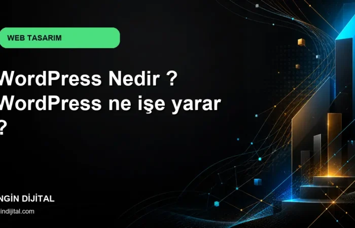 WordPress Nedir ? WordPress ne işe yarar ? kapak görseli