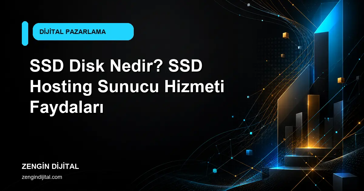 SSD Disk Nedir? SSD Hosting Sunucu Hizmeti Faydaları kapak görseli